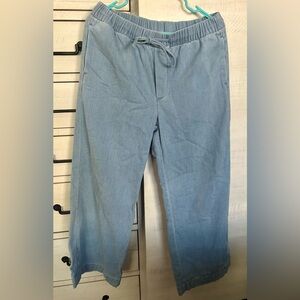 American Eagle Outfitters Light Blue Drawstring Denim Pants
